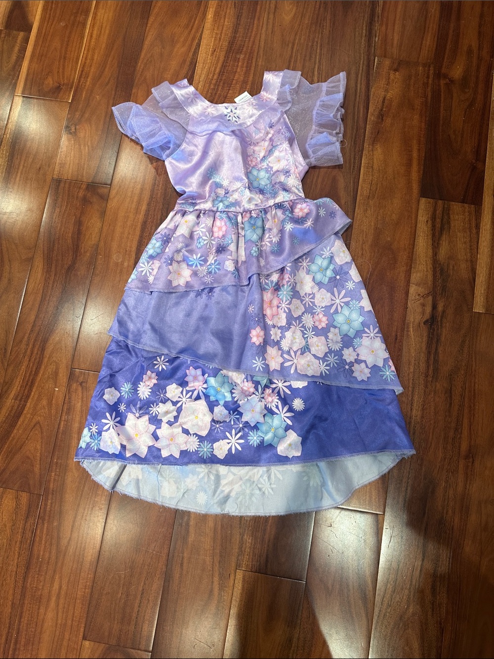 Disney Isabela Encanto Purple Floral Layered Costume Dress
